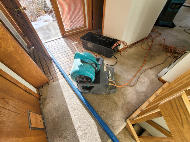 Best Sewage cleanup and water damage restoration  in Montgomeryville, PA
