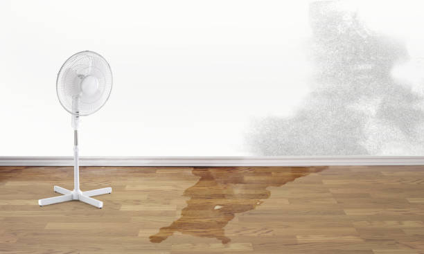 Best Water damage restoration near me  in Montgomeryville, PA