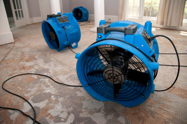 Best Mold removal after water damage  in Montgomeryville, PA