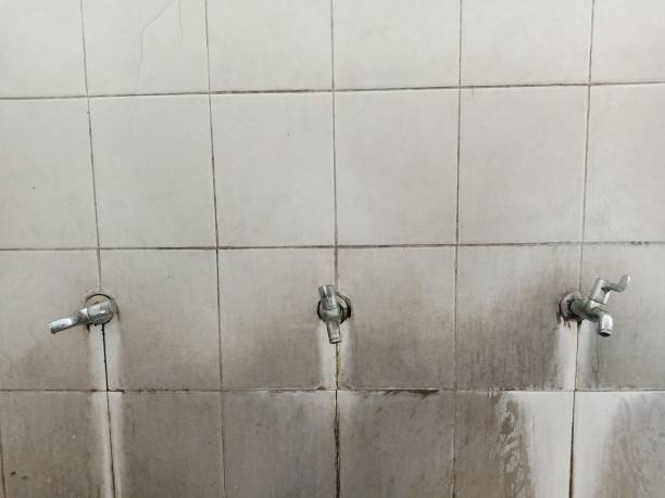 Best Ceiling water damage repair  in Montgomeryville, PA
